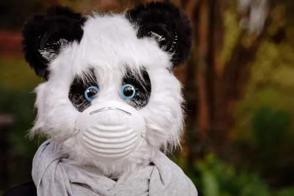 ТопБет Казино Поддръжка